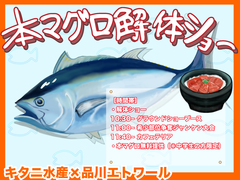 【行事】秋輝祭2日目マグロ解体ショー開催決定！！（9/27）